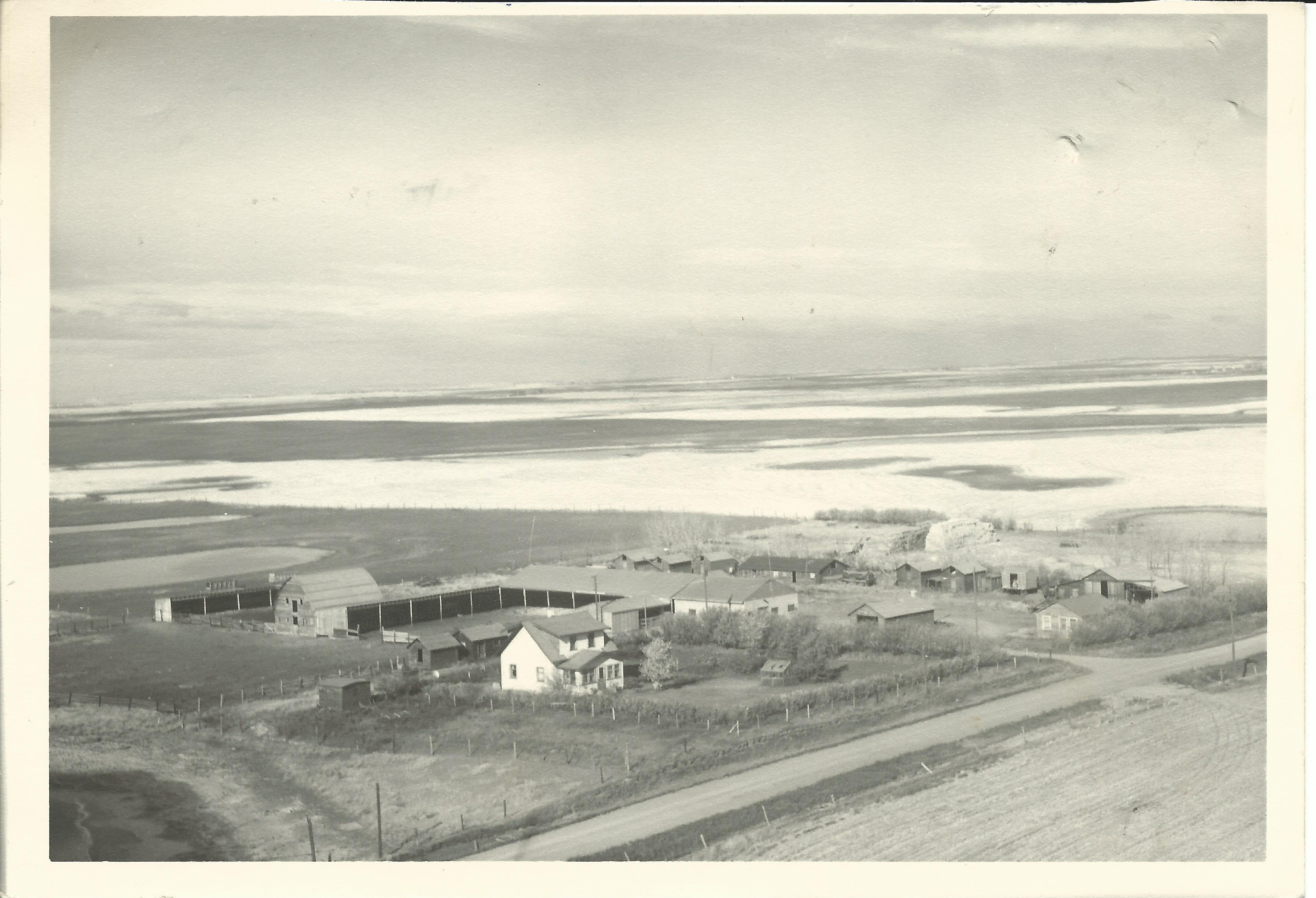 1963 Dairy Farm